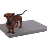 Product shoot for Comfy Beds